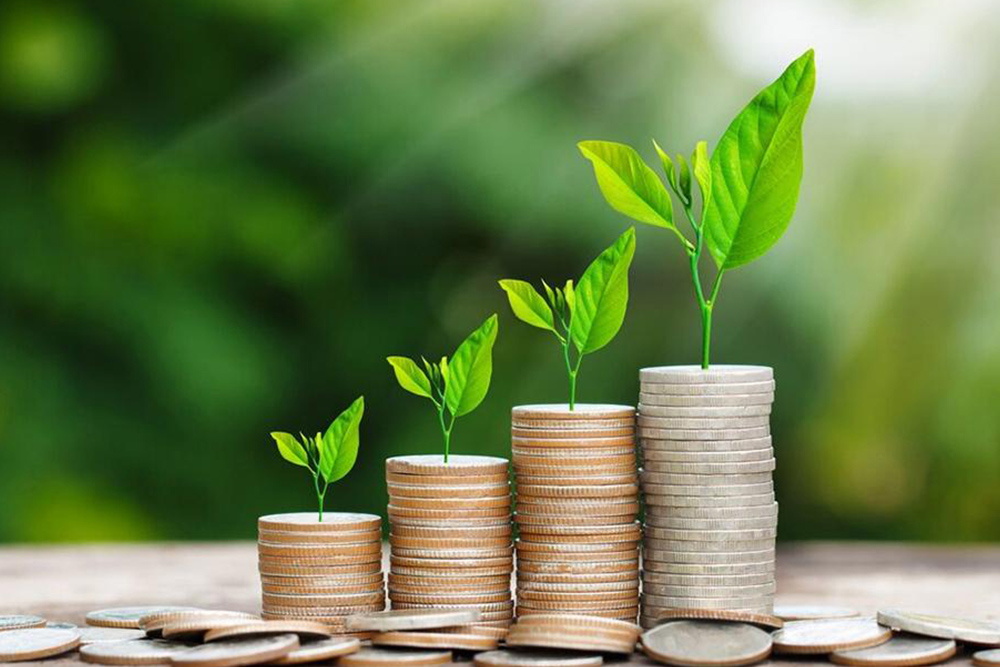Financial planning and wealth management services